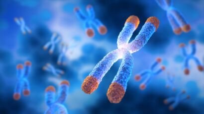 KED ( vesugen ) | KED ( vesugen ) Peptide | KED ( vesugen ) Peptide research