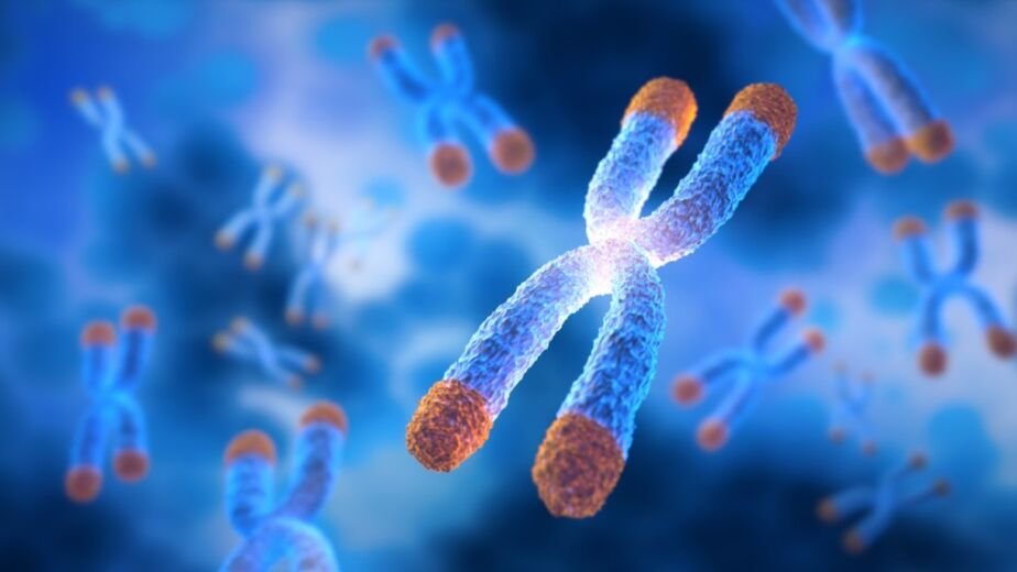 KED ( vesugen ) | KED ( vesugen ) Peptide | KED ( vesugen ) Peptide research