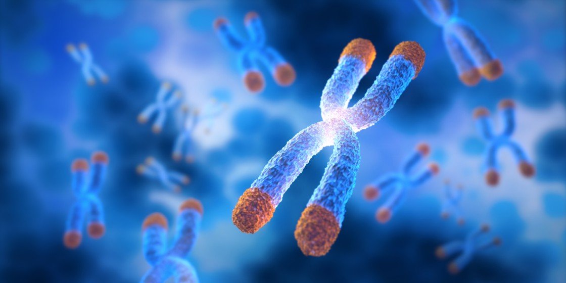 KED ( vesugen ) | KED ( vesugen ) Peptide | KED ( vesugen ) Peptide research
